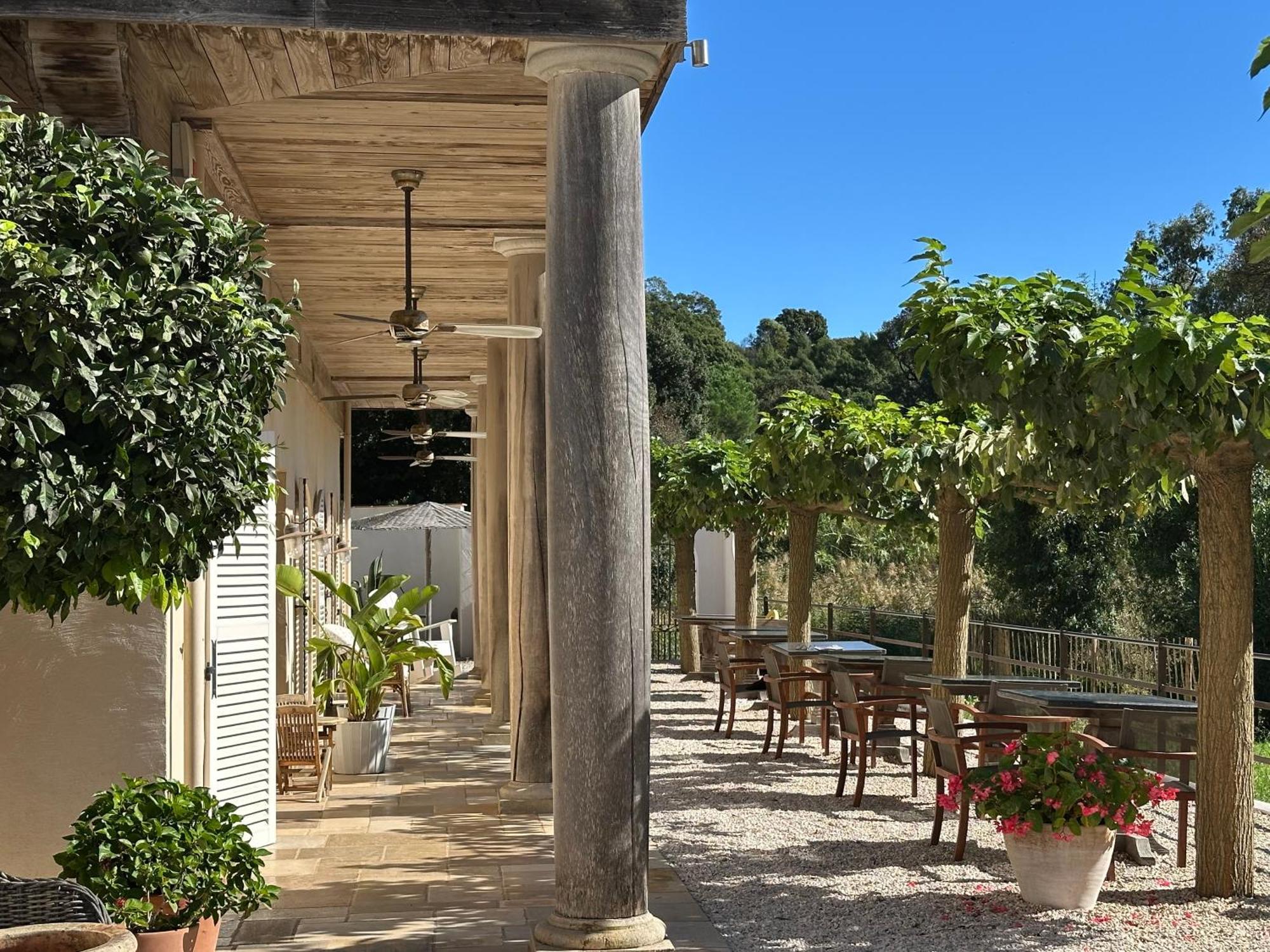 Le Clos Des Sept Palmiers Cavalaire-sur-Mer Exterior photo