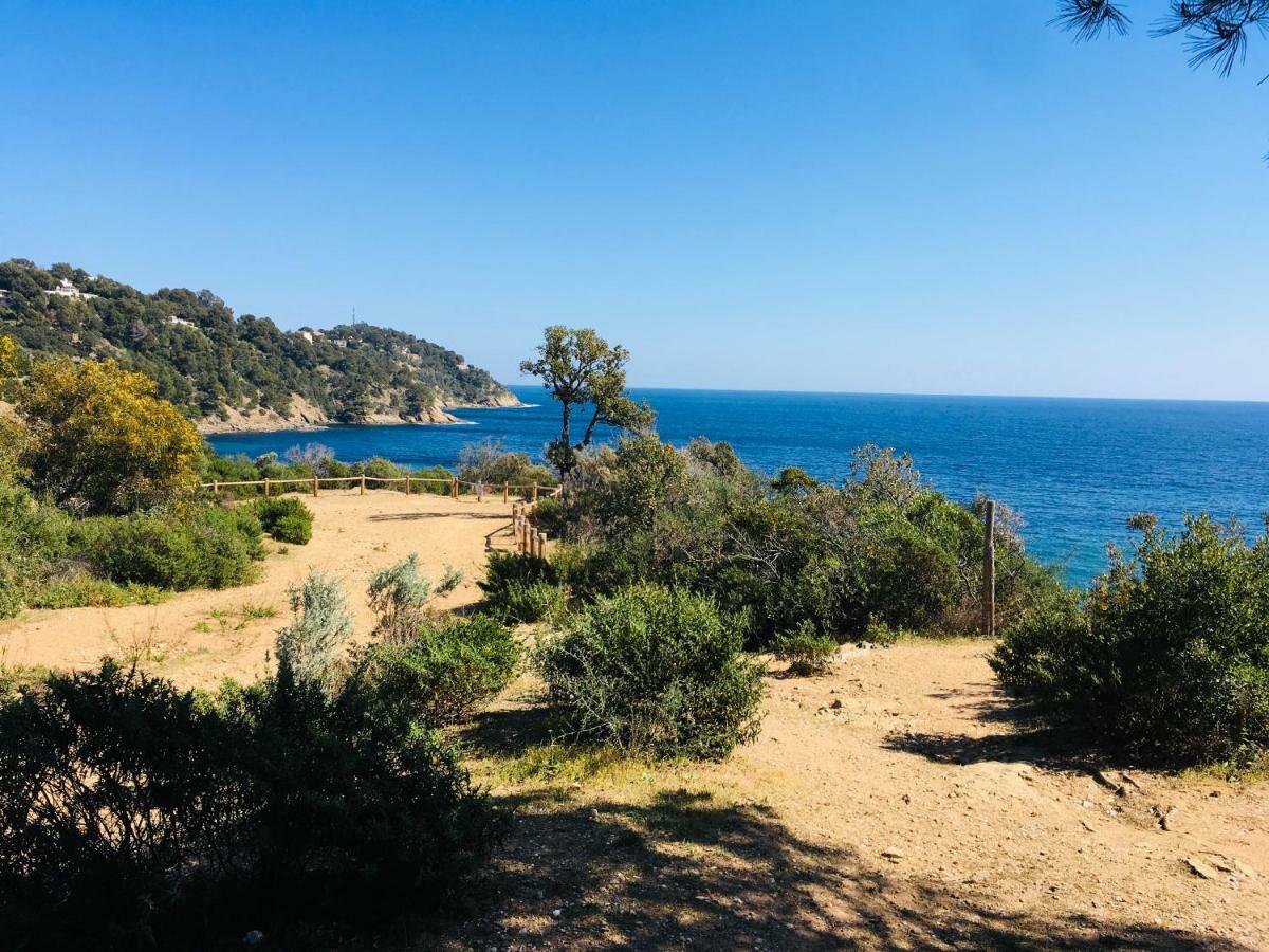 Le Clos Des Sept Palmiers Cavalaire-sur-Mer Exterior photo