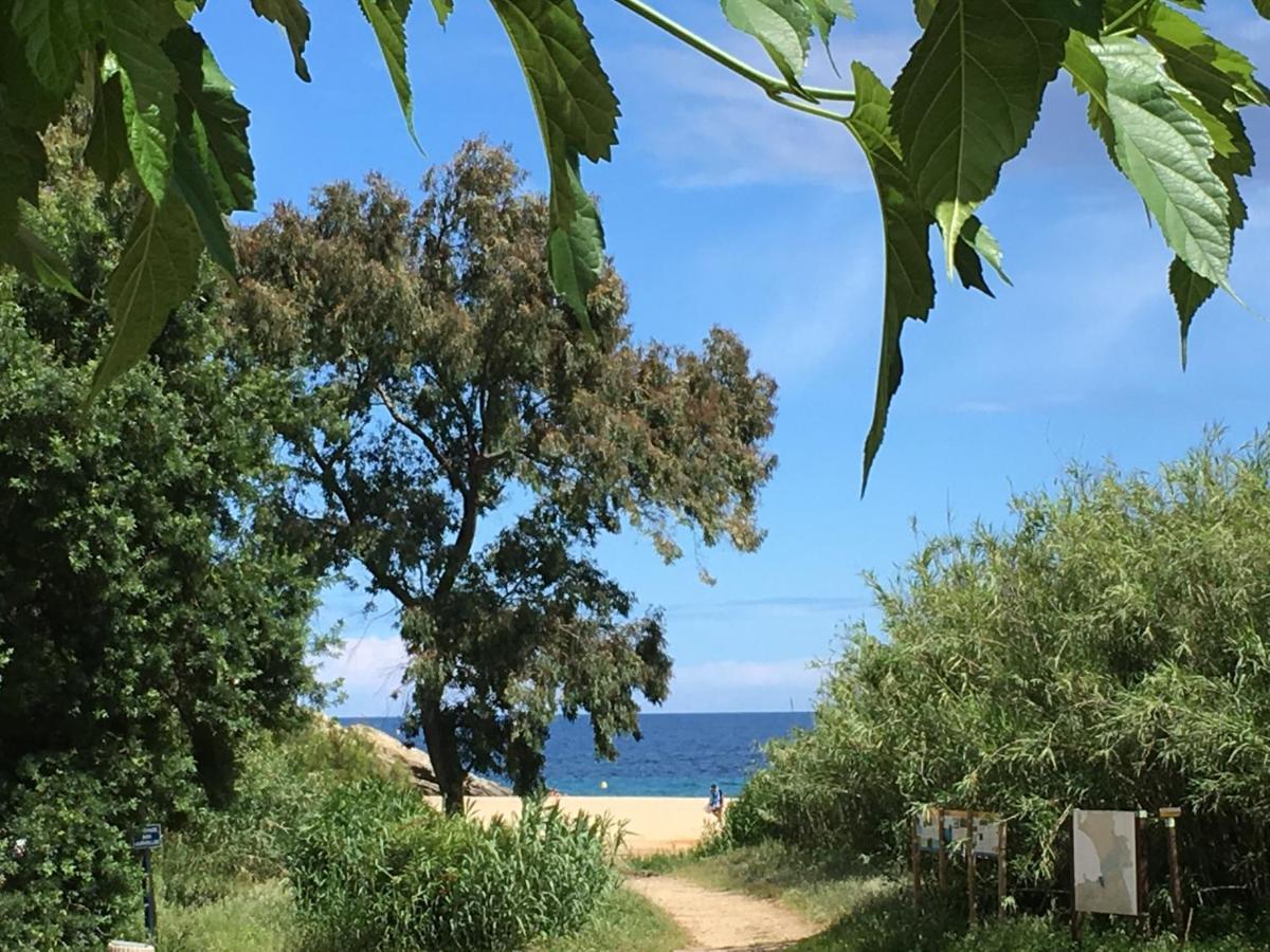 Le Clos Des Sept Palmiers Cavalaire-sur-Mer Exterior photo
